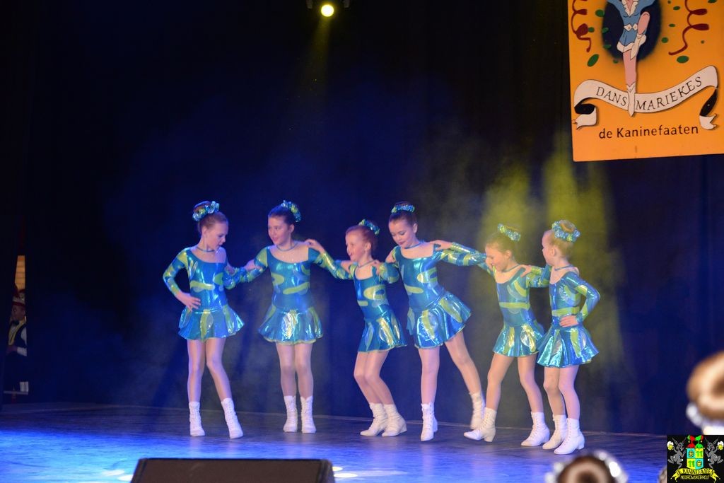 ../Images/Dansmarieke festival 2018 077.jpg